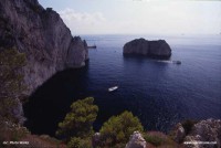 /album/galleria-fotografica/monacone2g-jpg/