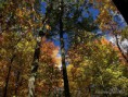 /album/galleria-foto-homepage6/westminster-20ponds-20-20fall-20-5-jpeg2/